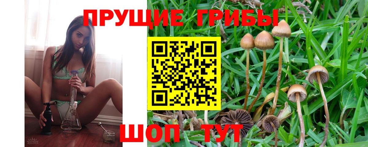 Галлюциногенные грибы прущие грибы Учалы