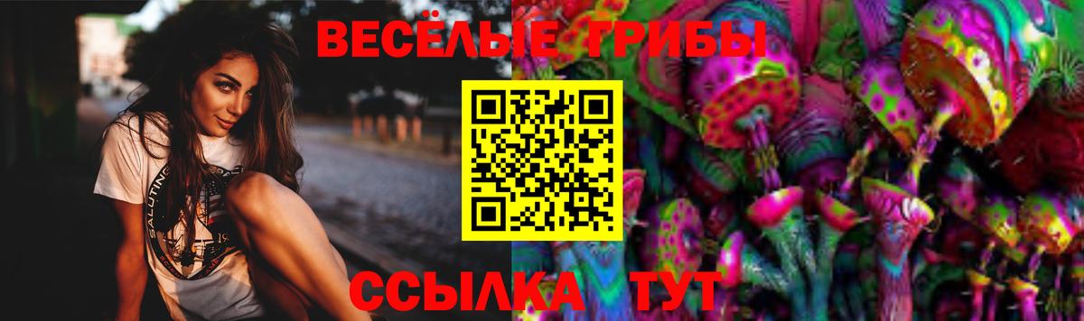 Галлюциногенные грибы мицелий  Галлюциногенные грибы Magic Shrooms  Вход с VPN  Учалы 
