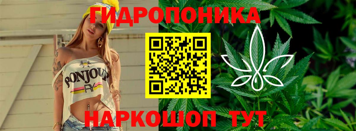Бошки марихуана план Учалы